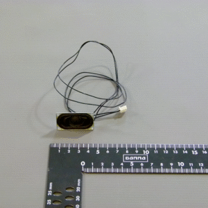 Speaker (assy)